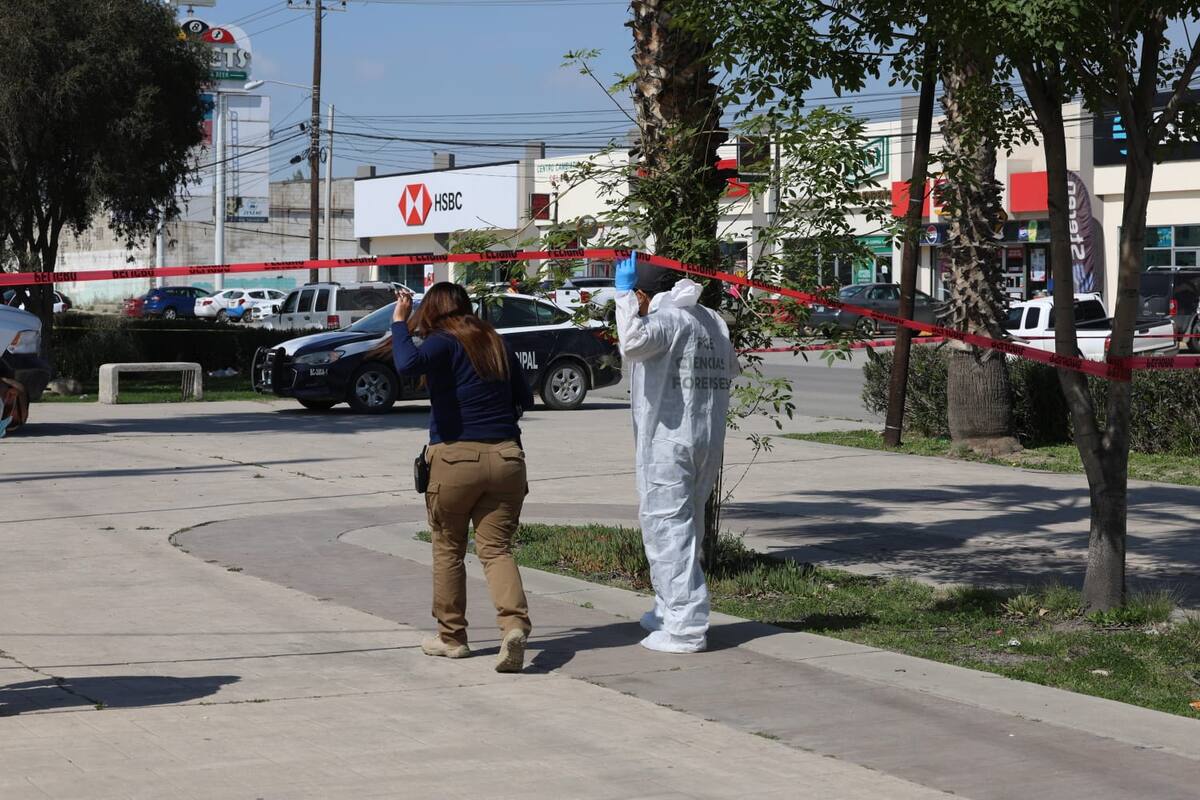 El hallazgo se reportó en un área verde ubicada sobre el bulevar Alberto Limón Padilla.