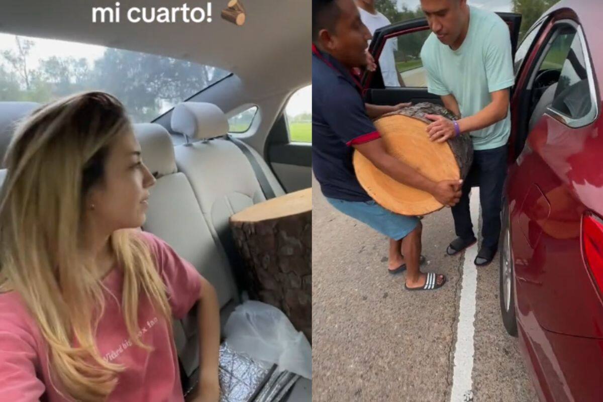 Mujer encuentra un tronco y lo pone como decoración en su cuarto