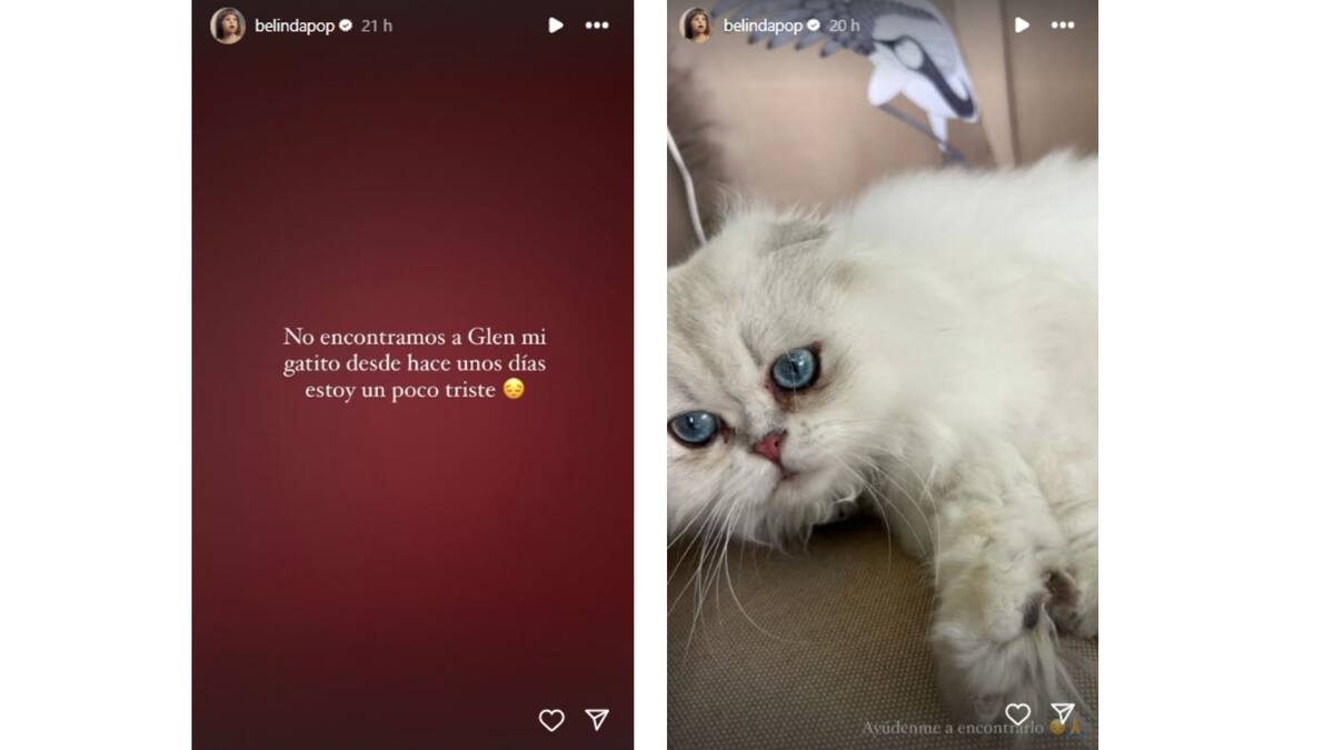 Belinda publicó un anuncio pidiendo cualquier información sobre el paradero de su gato | Captura de pantalla