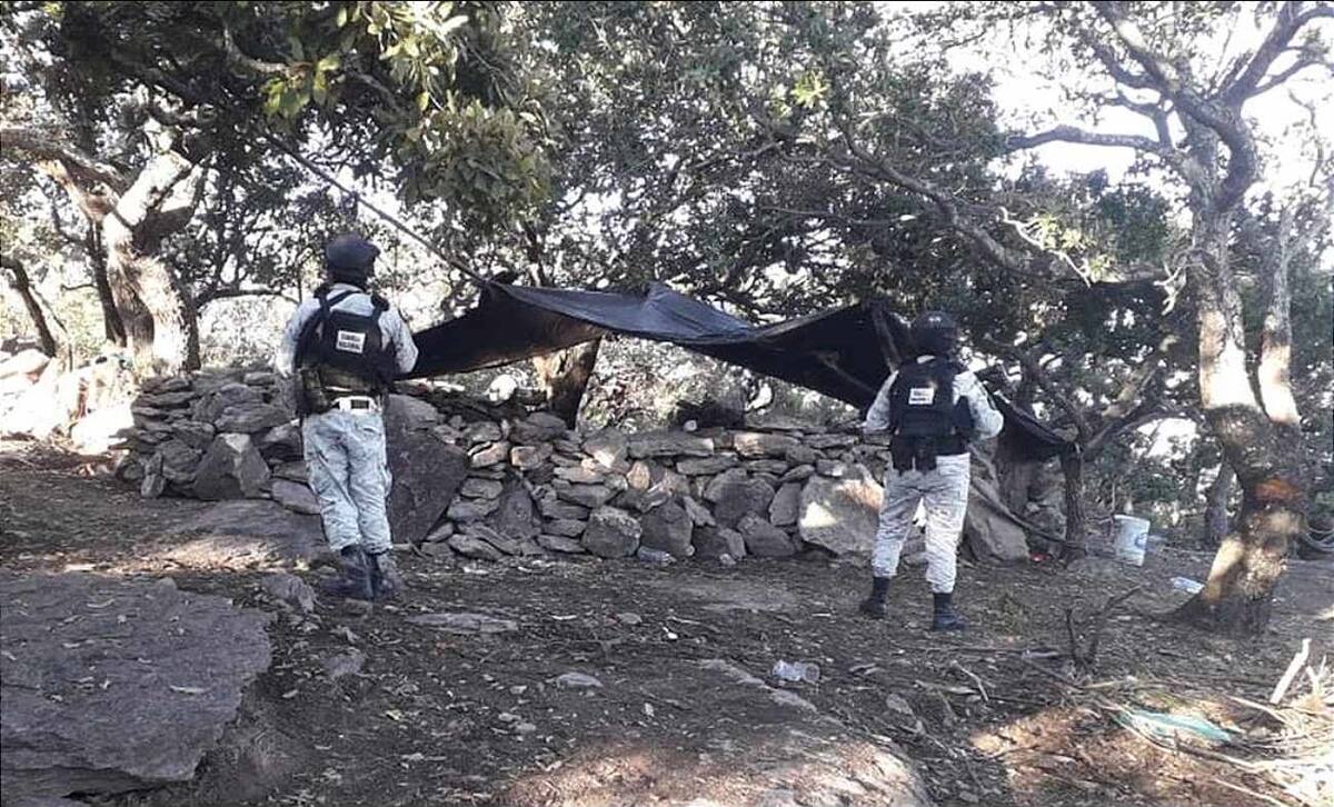Hallazgos en campamentos desmantelados en Jalisco y Zacatecas. // Foto: Especial/El Universal