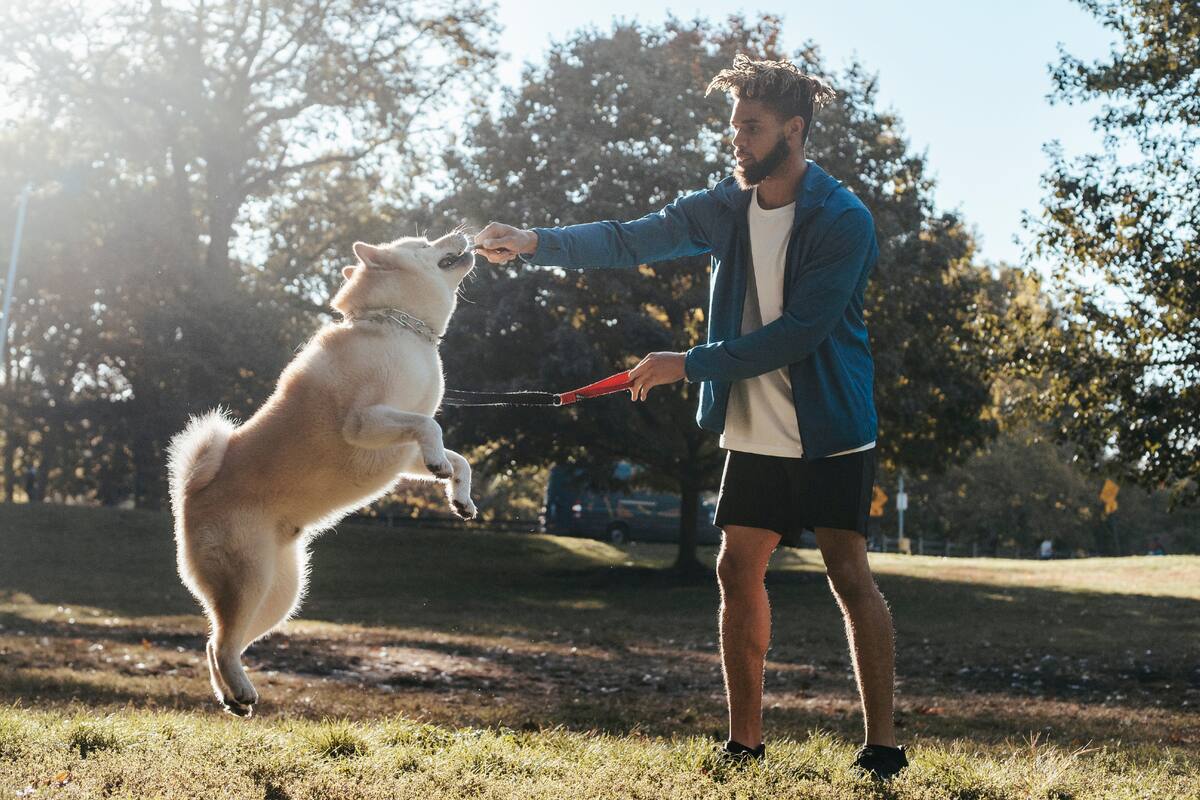 El contacto con perros reduce el estrés en solo 15 minutos, según estudio