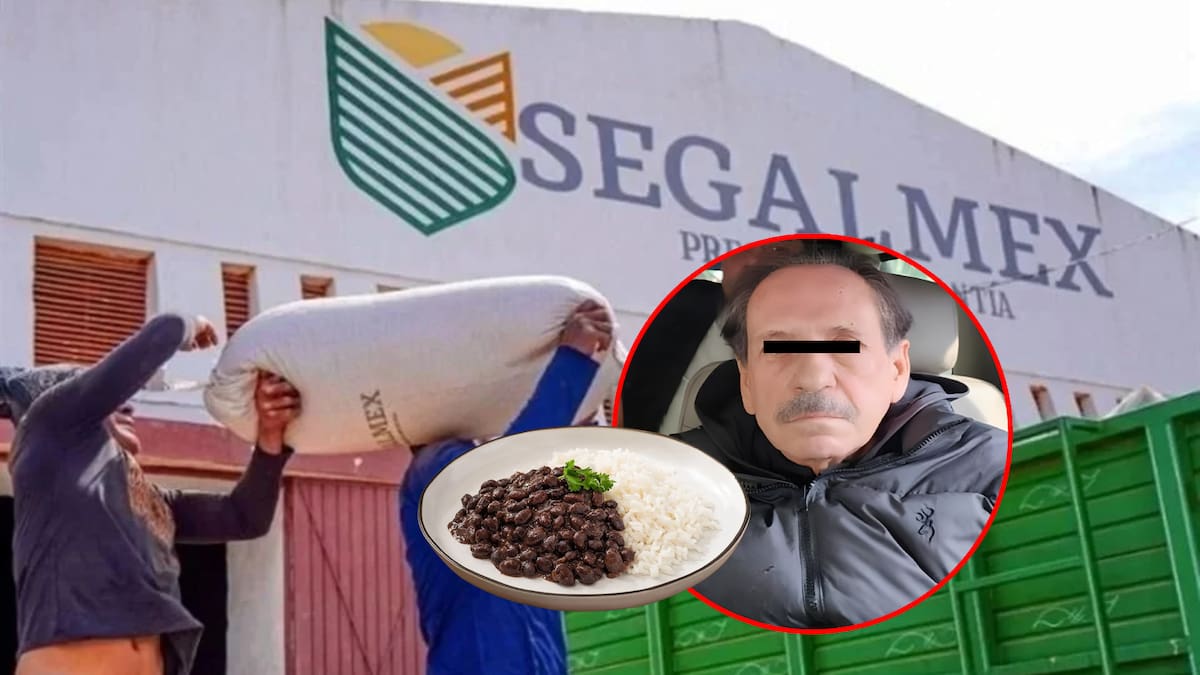 Compraron frijol y maíz “urgentemente” sin justificar cuando estaban en Segalmex, pero ahora René Gavira y otros 2 ex funcionarios deberán reparar millonarios daños al presupuesto por 261 mdp