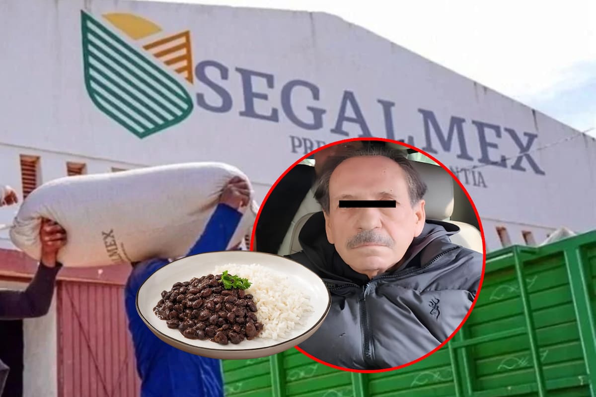 Compraron frijol y maíz “urgentemente” sin justificar cuando estaban en Segalmex, pero ahora René Gavira y otros 2 ex funcionarios deberán reparar millonarios daños al presupuesto por 261 mdp