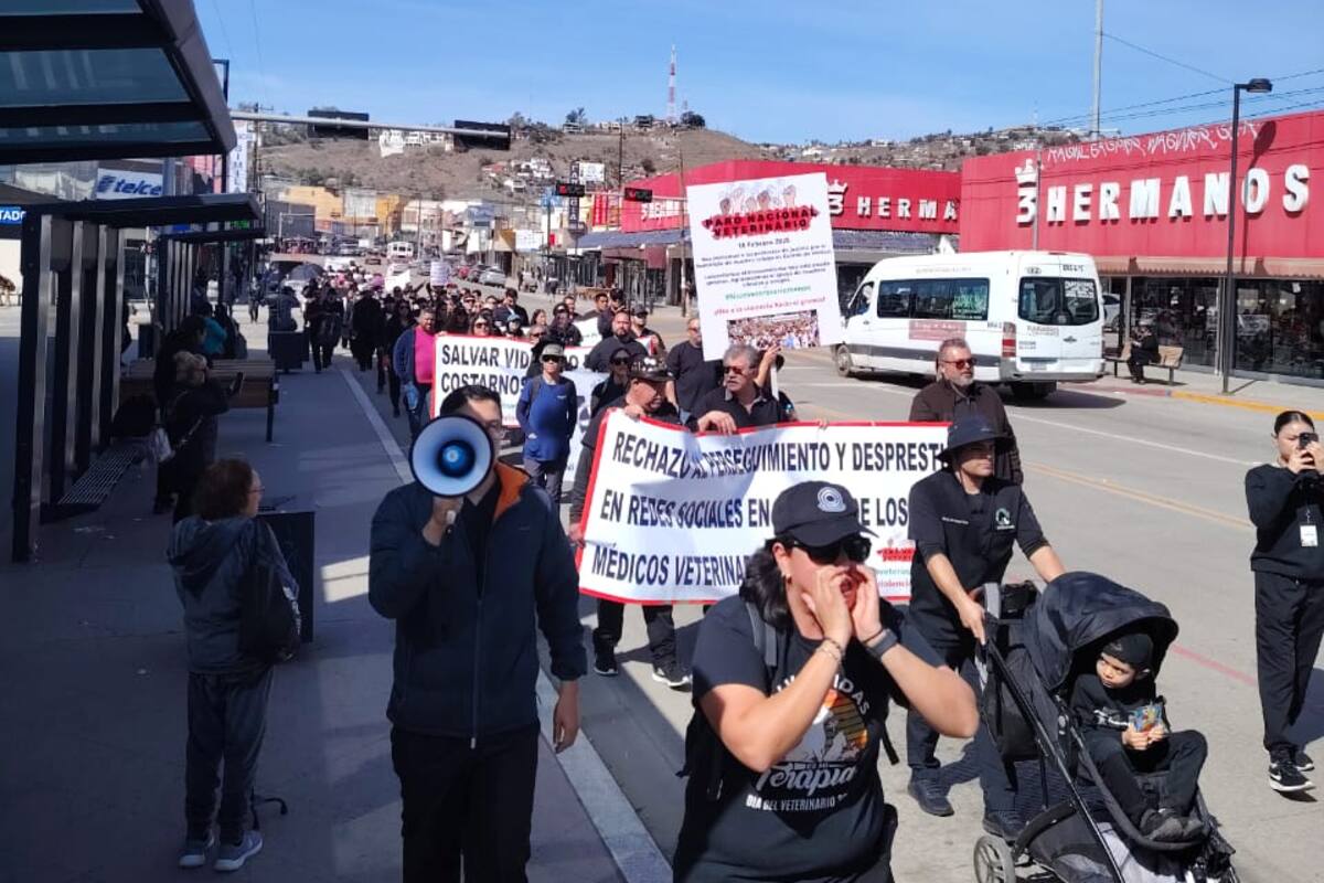 Veterinarios de Ensenada exigen un alto a la violencia
