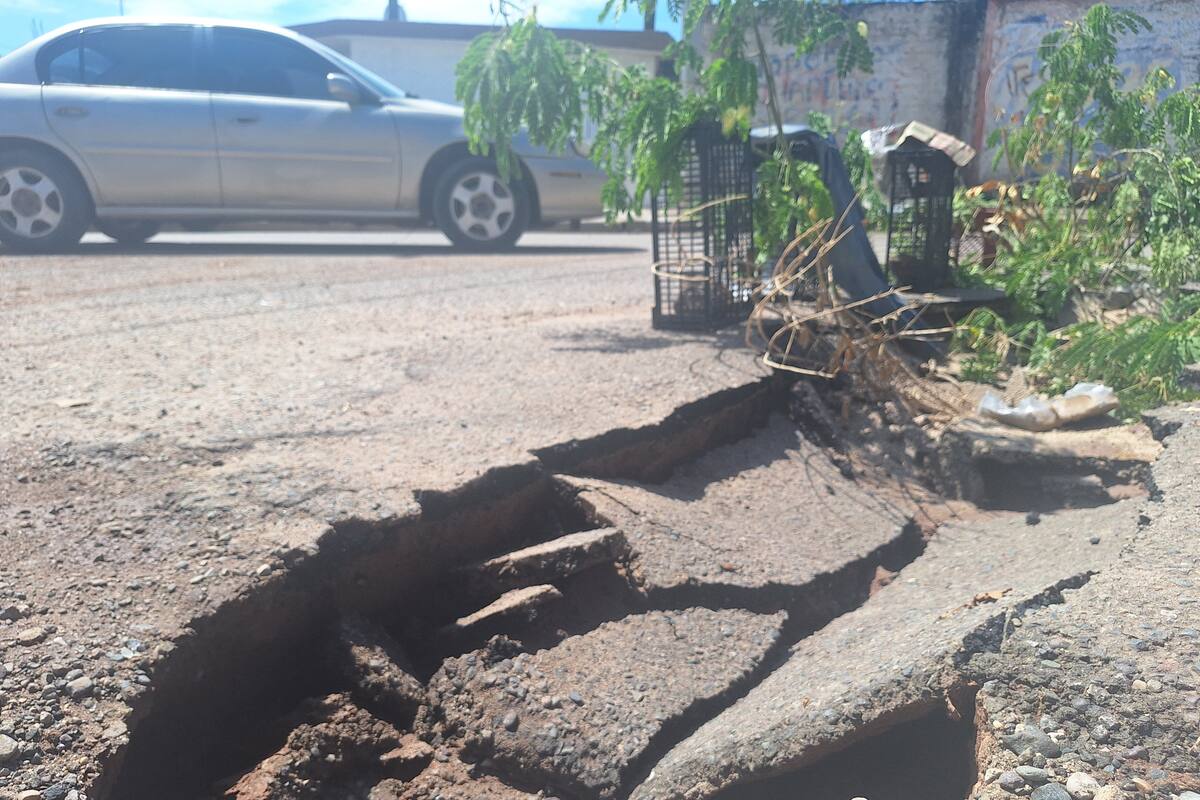 Aguaceros rompen con racha de sequía en región del Mayo