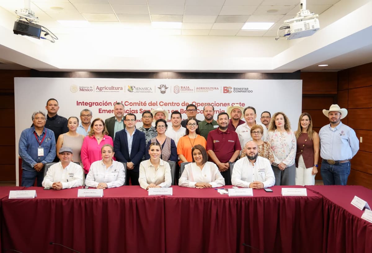 El Gobierno del Estado instaló el Comité de Operaciones de Emergencias Sanitarias para fortalecer la vigilancia y mantener a Baja California libre del gusano barrenador.
Fotos: Cortesía.
