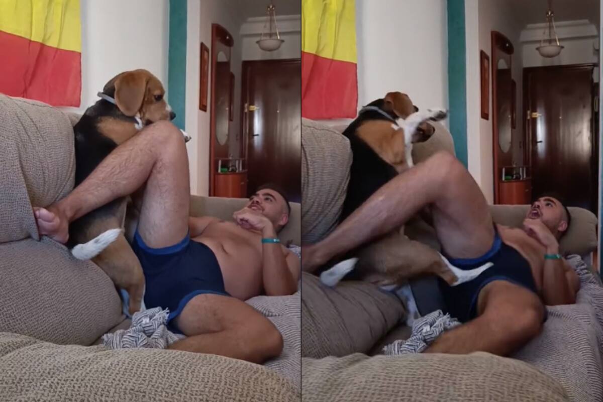 VIRAL | ¡Hombre recibe una patada por su perro justo en la entrepierna!