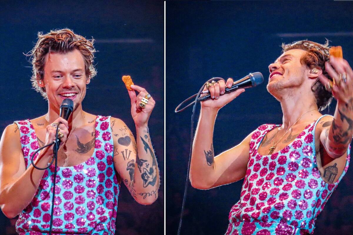 Fan le lanzó un nugget de pollo a Harry Styles y así reaccionó