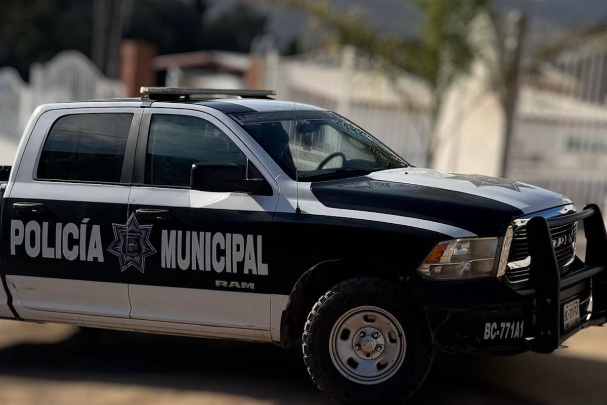 Detenido masculino por el probable delito de violencia familiar