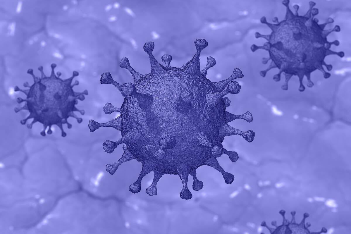 Persona de 18 años la más joven en morir de coronavirus en Inglaterra: Sky News