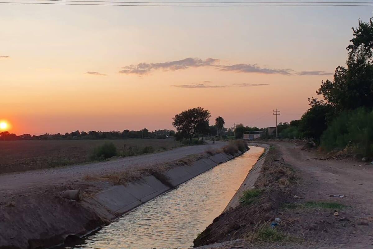 Proyectan sembrar 73 mil hectáreas en el Valle del Mayo