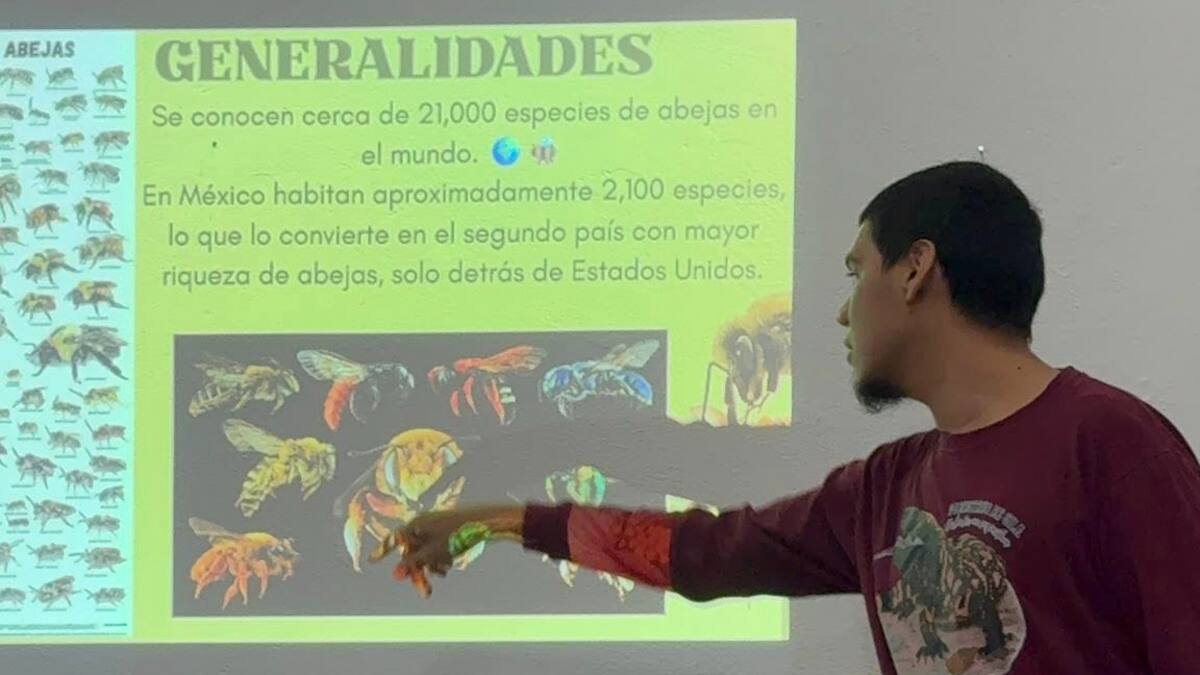 Influencer divulgador científico “Biologando con Miguel” imparte conferencia sobre abejas nativas en Álamos para fortalecer la educación ambiental