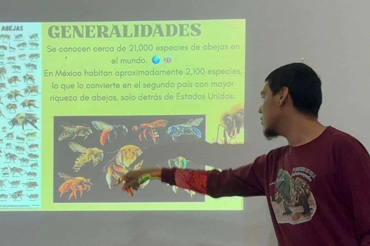 Influencer divulgador científico “Biologando con Miguel” imparte conferencia sobre abejas nativas en Álamos para fortalecer la educación ambiental