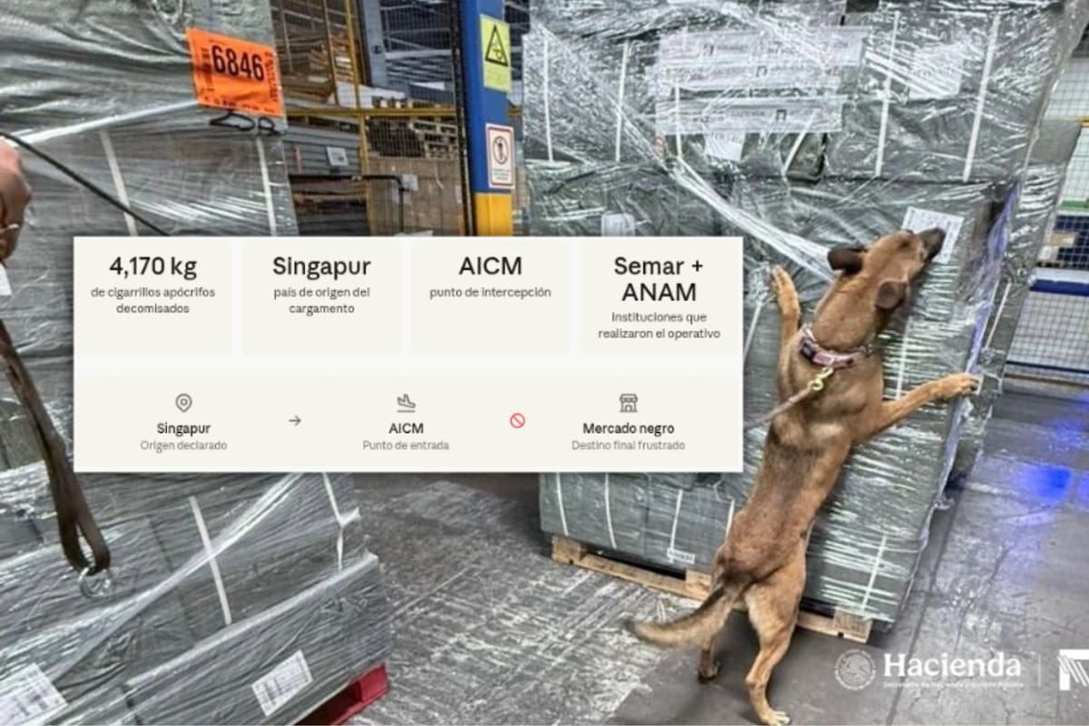 Llegaron desde Singapur camuflados en un cargamento de comercio exterior: así detectaron la Semar y Aduanas más de 4 toneladas de cigarrillos apócrifos que intentaban entrar al mercado negro mexicano por el aeropuerto de la Ciudad de México