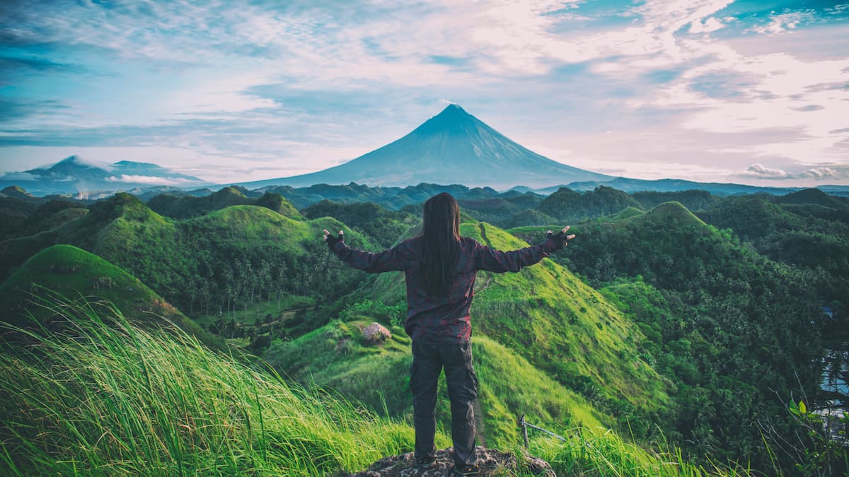 Los parques y bosques urbanos son especialmente efectivos, pero hasta los árboles en calles ayudan/Foto: Canva