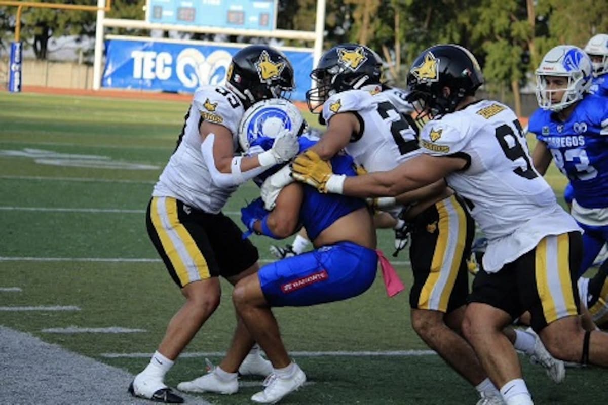 Cetys buscará la salvación en la ONEFA