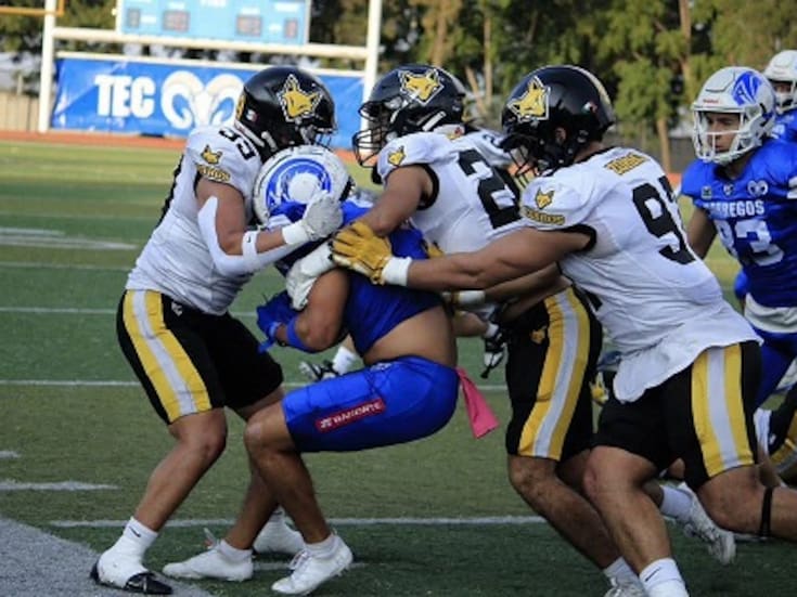 Cetys buscará la salvación en la ONEFA