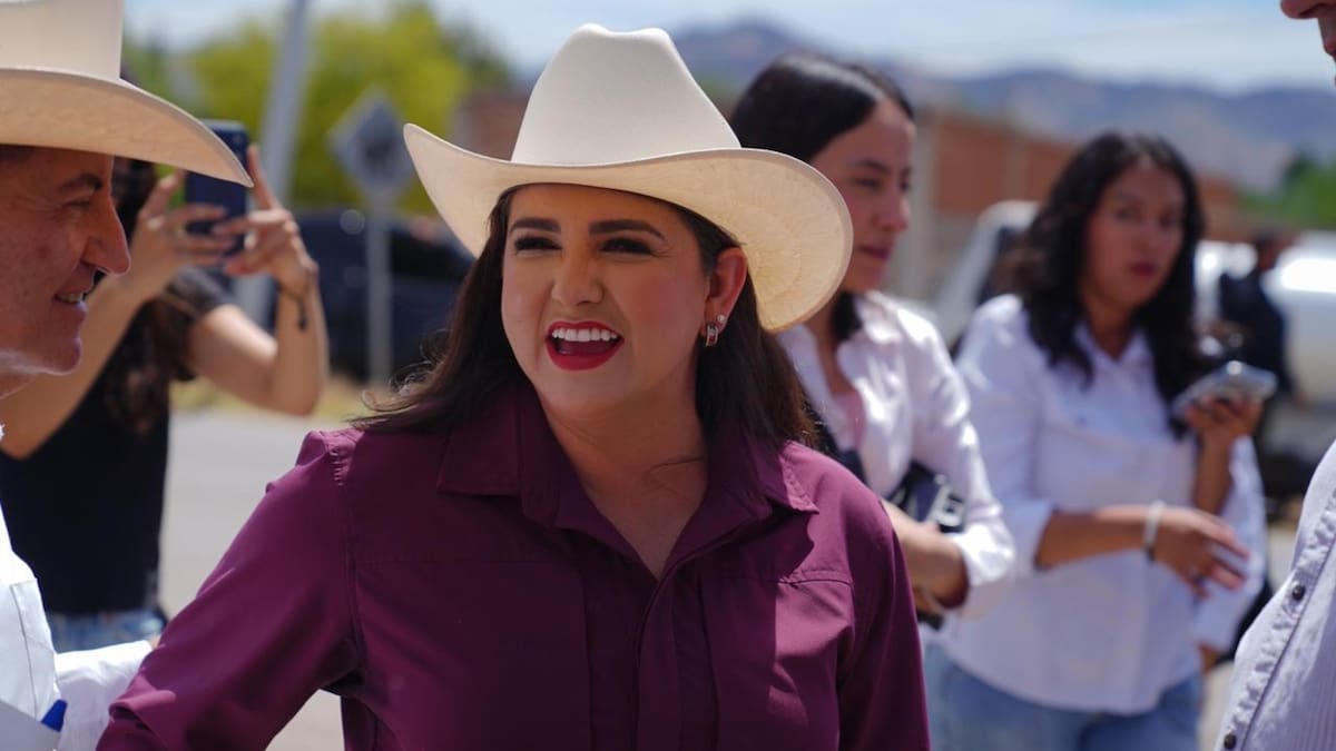 Sonora lidera la producción nacional de papa con crecimiento en superficie y cosecha.