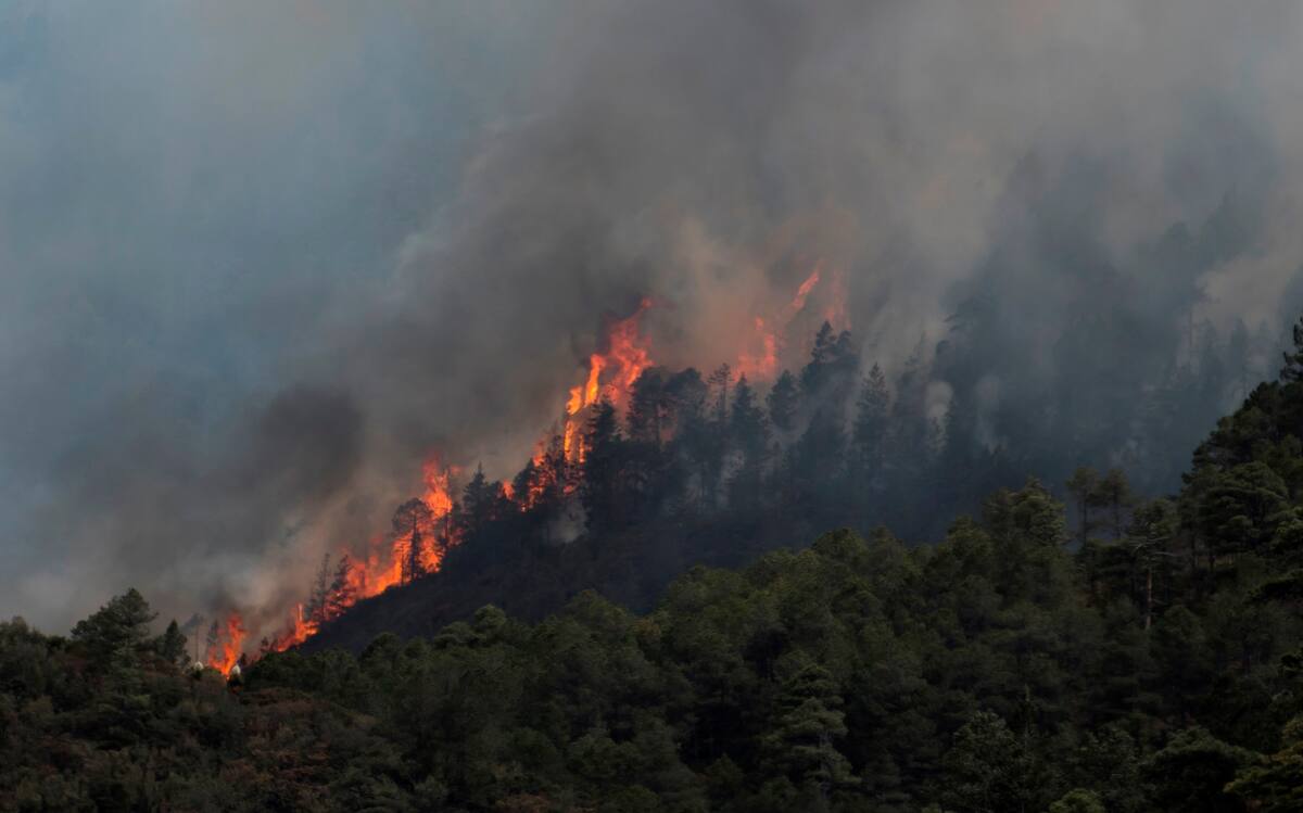 Vista de un incendio forestal en el poblado el Baratillo perteneciente al municipio de Arteaga, el 27 de marzo de 2021 en el estado de Coahuila (México). EFE/Miguel Sierra
