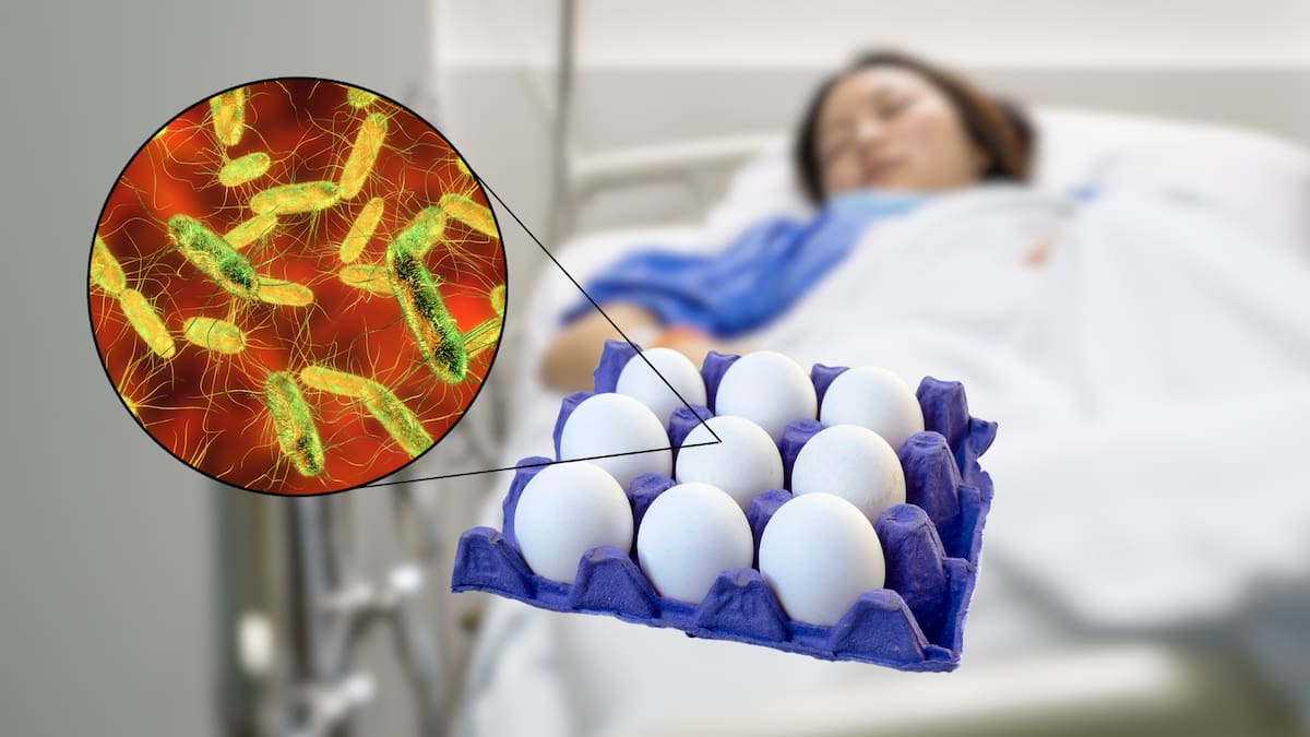 Retiran más de 1.6 millones de docenas de huevos en Estados Unidos por posible contaminación con salmonella