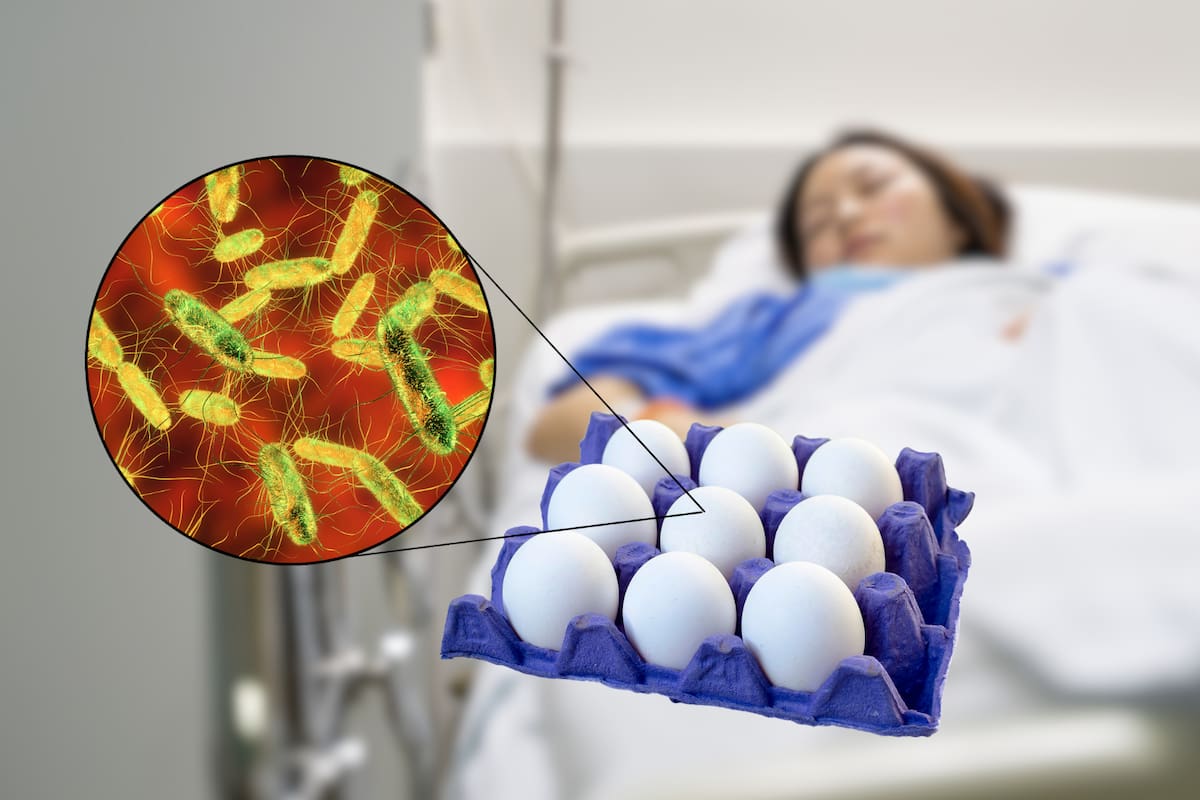 Retiran más de 1.6 millones de docenas de huevos en Estados Unidos por posible contaminación con salmonella
