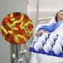 Retiran más de 1.6 millones de docenas de huevos en Estados Unidos por posible contaminación con salmonella