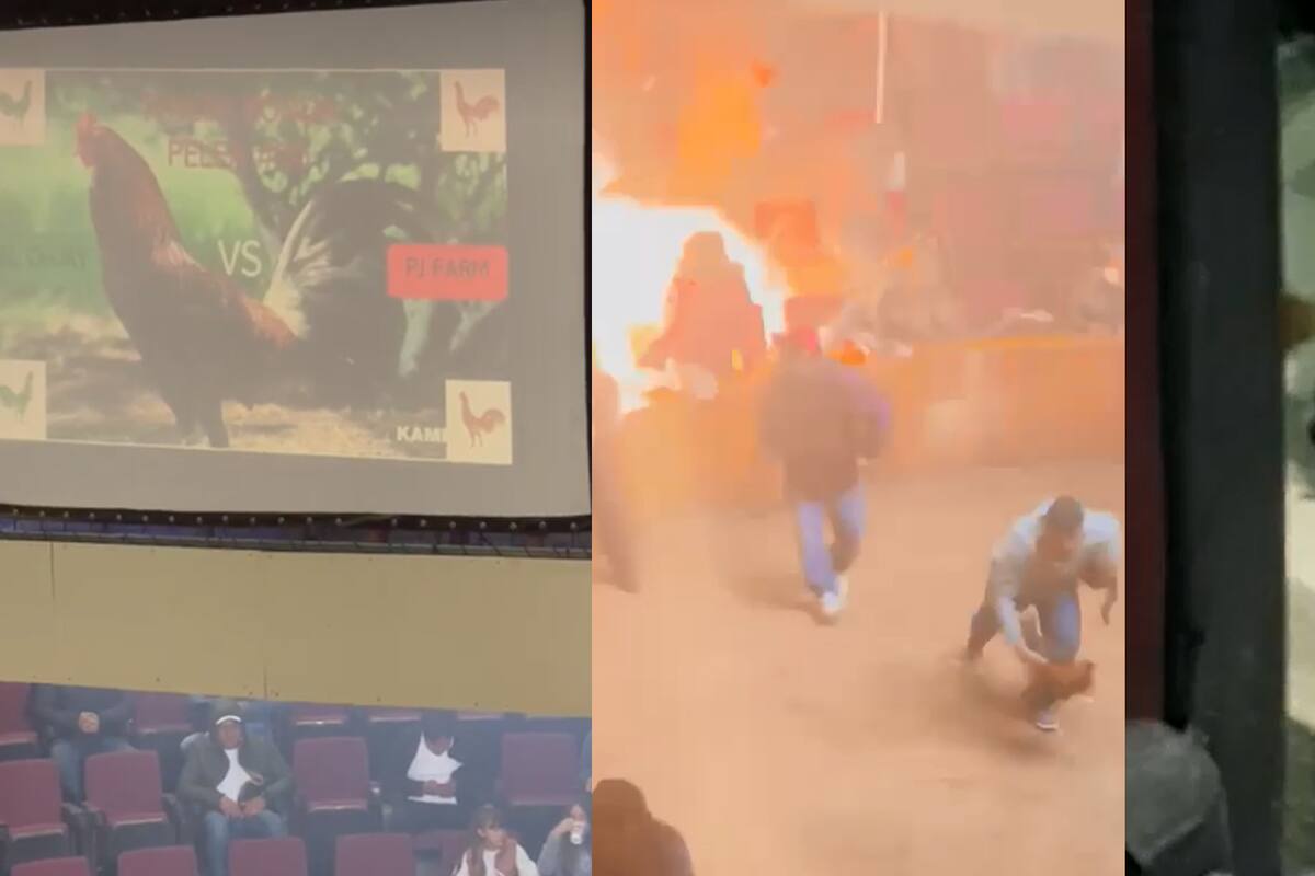 ¿Explotó artefacto en Palenque en Hidalgo? Circula video de lo sucedido en pelea de gallos