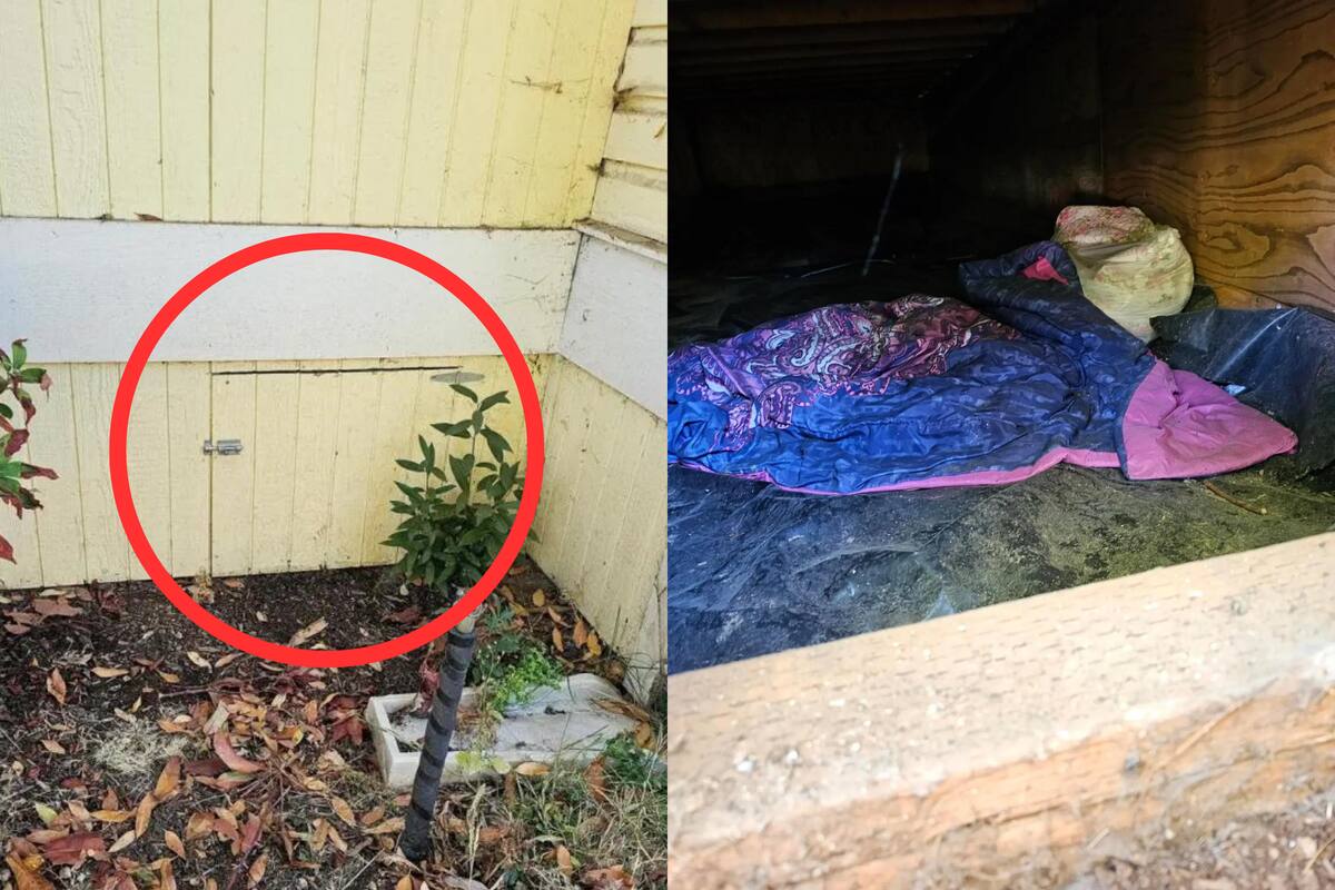 Mujer encontró a una desconocida durmiendo debajo de su casa — y luego la confrontó
