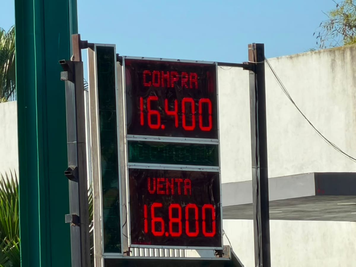 Foto: Border Zoom