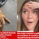 “Nada justifica el abandono”: rescata a un pitbull y revela por qué cree que lo dejaron