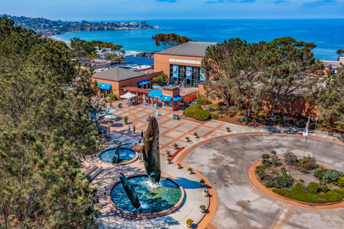 Birch Aquarium de la Jolla festejará el Día de la Tierra
