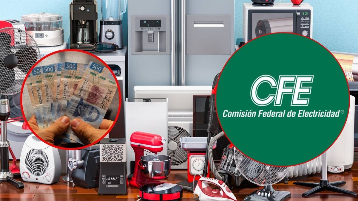 CFE reemplazará los electrodomésticos viejos por modelos nuevos y de menor consumo: ¿Qué requisitos pide y cómo solicitarlos?
