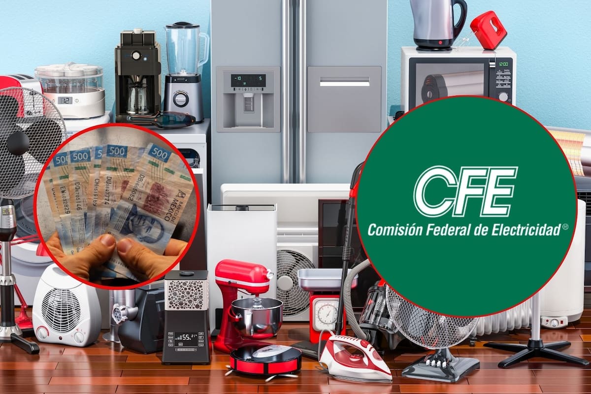 CFE reemplazará los electrodomésticos viejos por modelos nuevos y de menor consumo: ¿Qué requisitos pide y cómo solicitarlos?