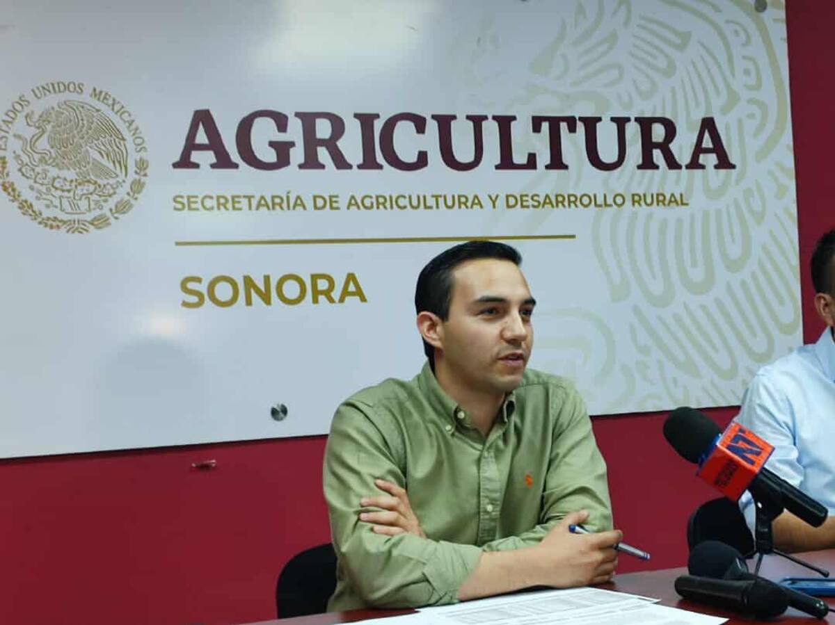 Buscan aumentar 10% la producción agrícola en Sonora con entrega de fertilizantes.Foto: GH