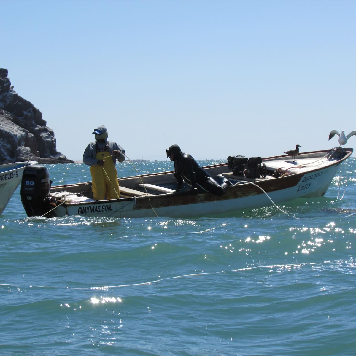 Al no destinarse recursos para la Inspección y Vigilancia, cualquier persona podrá pescar de manera ilegal los recursos en el mar, aseguran pescadores.