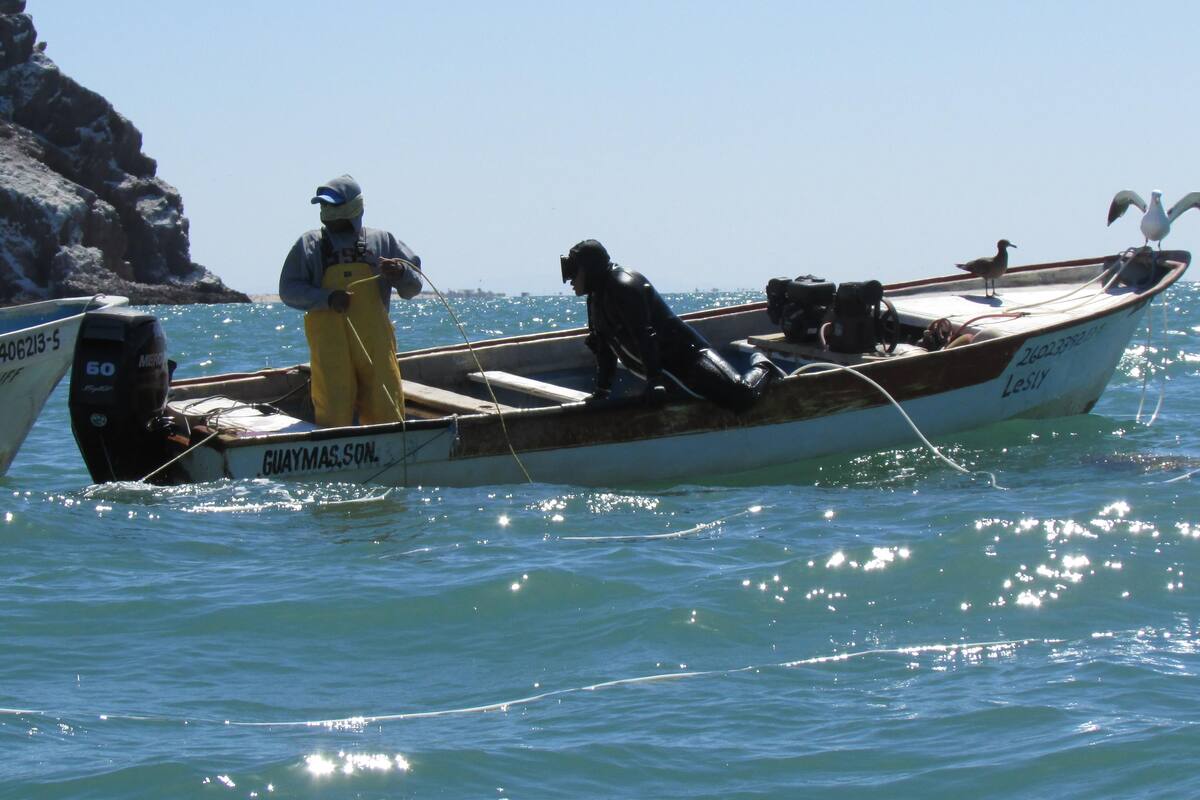 Preocupa a pescadores que no se presupueste inspección y vigilancia