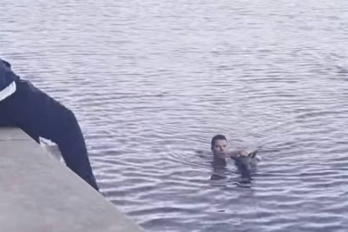 Hombre rescata a canguro de morir ahogado en un lago