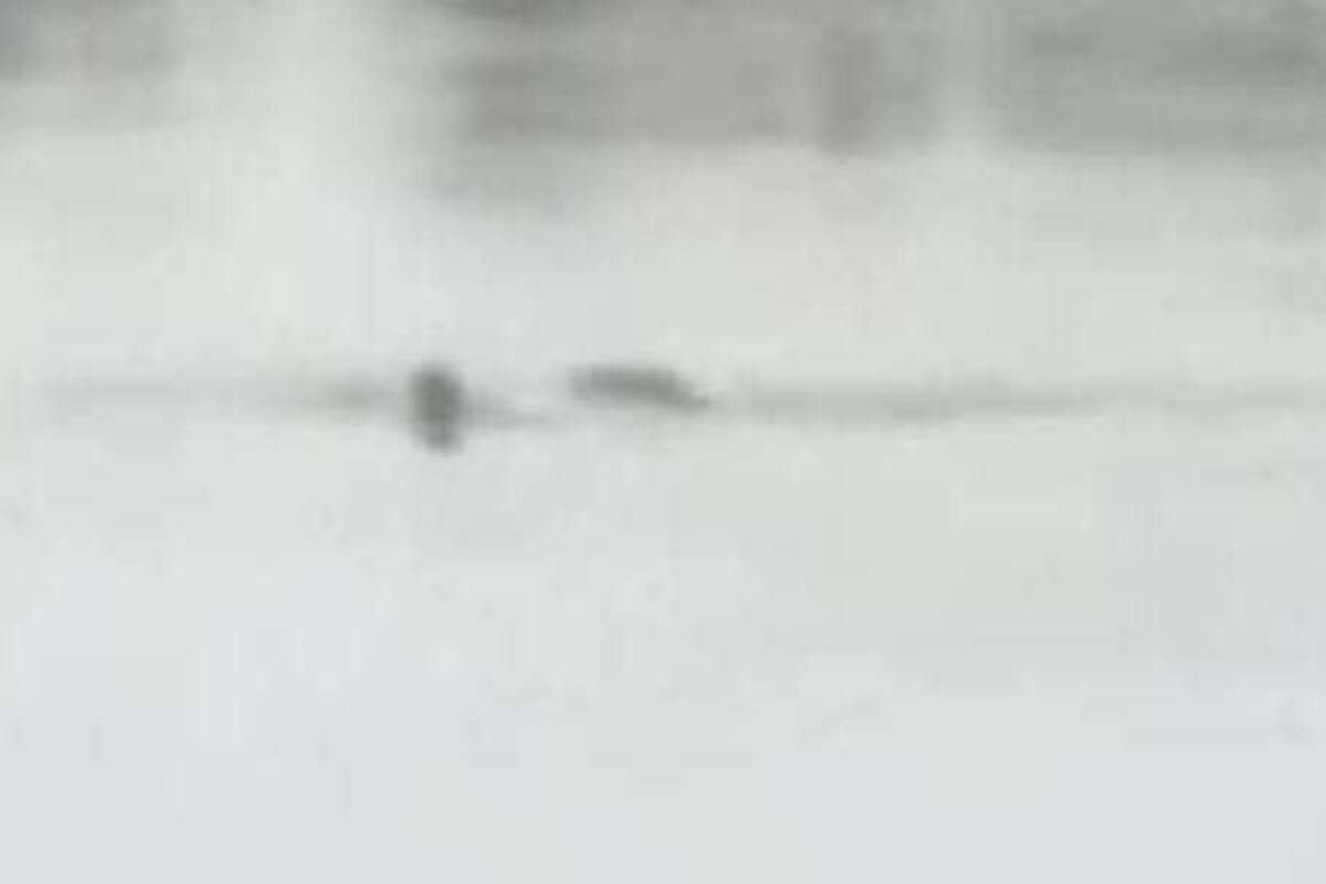 Video: Hombre salta a laguna de cocodrilos en Tampico y muere