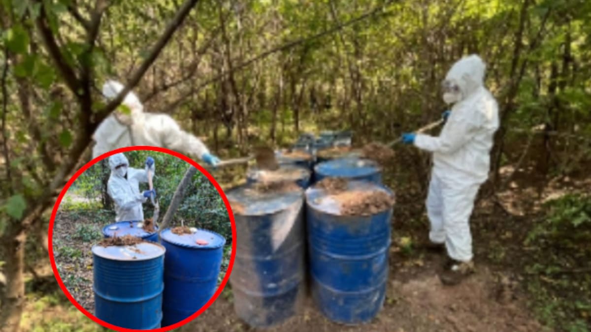 Golpe al narco en Sinaloa: destruyen cinco áreas de químicos y un laboratorio clandestino en Culiacán y Cosalá