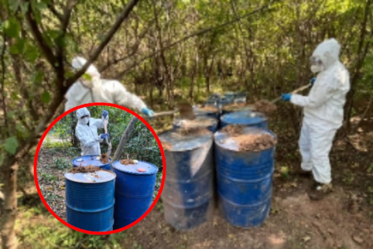 Golpe al narco en Sinaloa: destruyen cinco áreas de químicos y un laboratorio clandestino en Culiacán y Cosalá