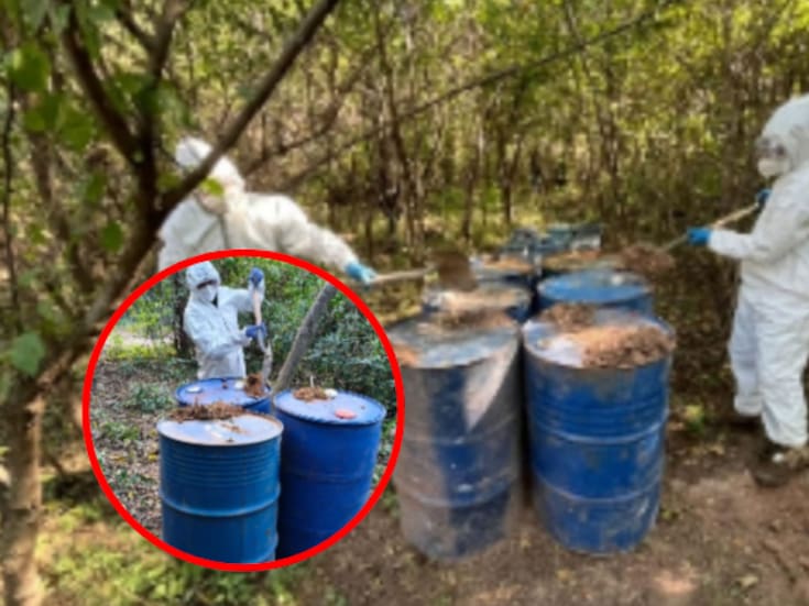 Golpe al narco en Sinaloa: destruyen cinco áreas de químicos y un laboratorio clandestino en Culiacán y Cosalá