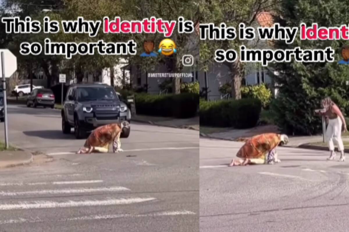 Persona se identifica como tortuga y detiene el tráfico al caminar por las calles disfrazada: la gente se enfurece