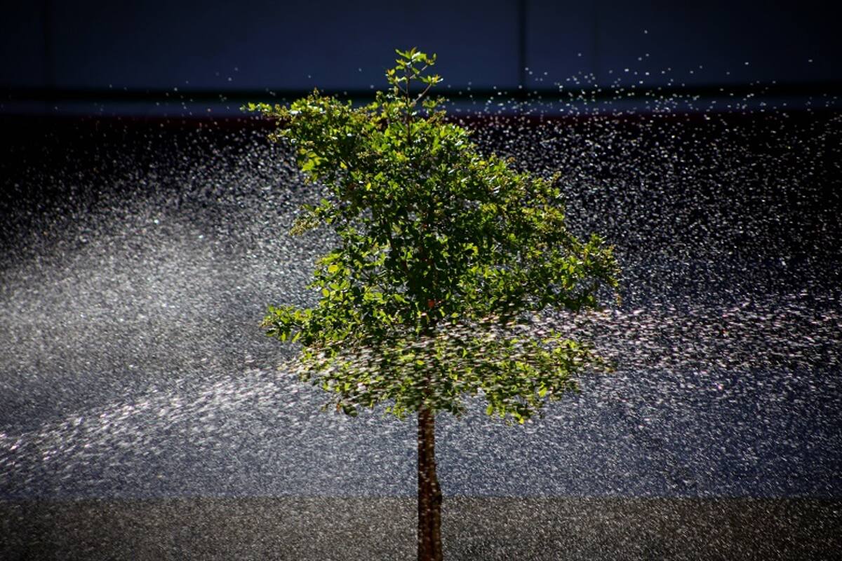 Clima Mexicali: Llegó el calor, se esperan máximas de 38 grados