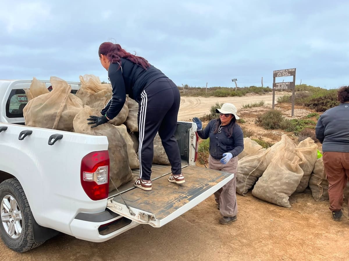 Zofemat, Conanp y Servicios Públicos realizaron una jornada de limpieza en el Parque Nacional San Quintín para retirar residuos de vidrio y reducir riesgos para visitantes y fauna. Foto: Cortesía