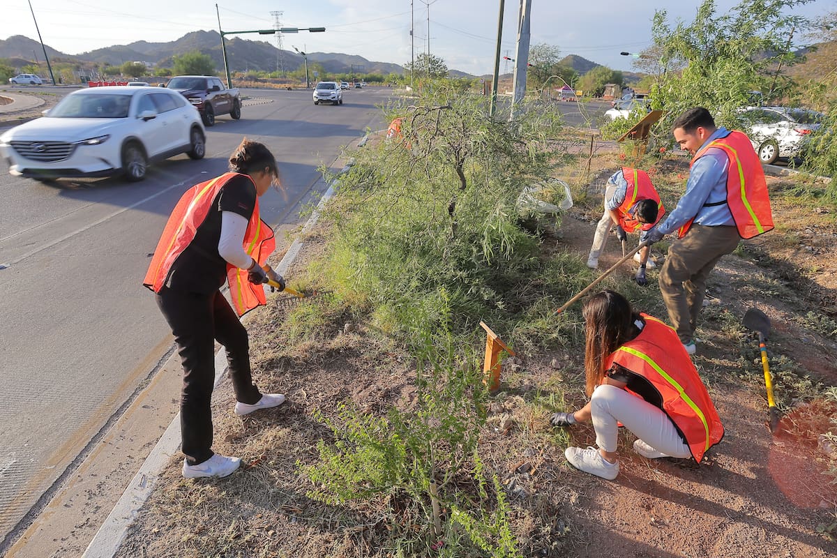 El colectivo caminantes del desierto limpian y reforestan el camellón ubicado en Morelos y Progreso. Foto: Eleazar Escobar