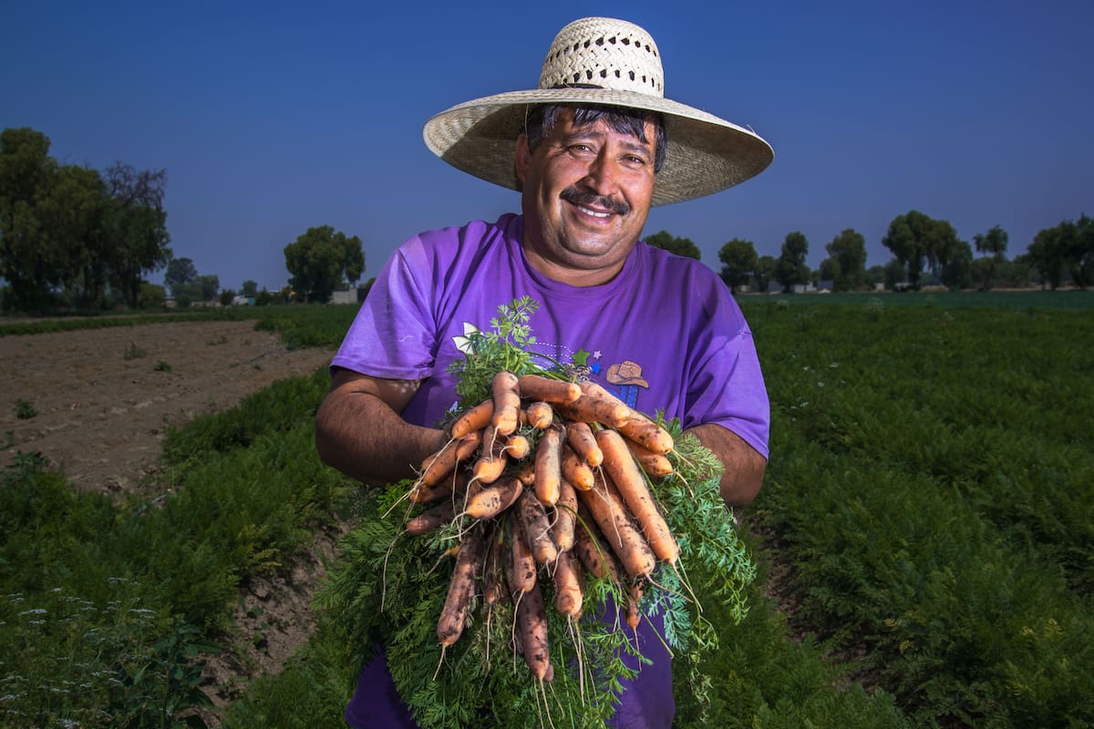 Producción récord de alimentos en México: 289 millones de toneladas en 2025 con valor de 1.59 billones de pesos