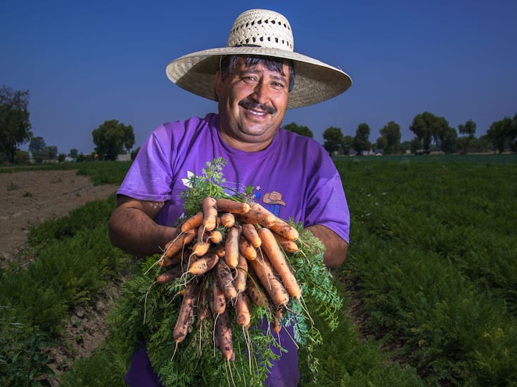 Producción récord de alimentos en México: 289 millones de toneladas en 2025 con valor de 1.59 billones de pesos