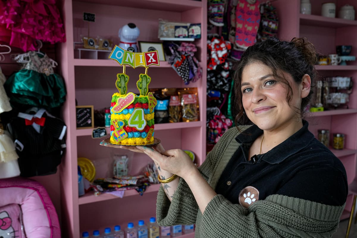 Delidog Bakery, Pasteles con huella tijuanense