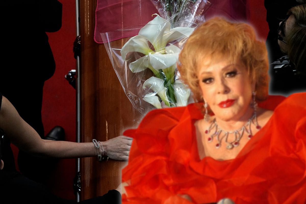 La dinastía Pinal prepara múltiples tributos a un año del fallecimiento de la última diva del Cine de Oro Mexicano