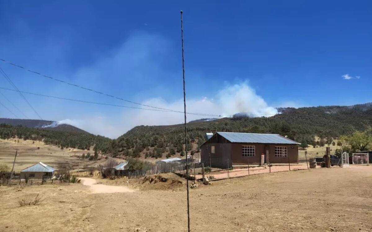 Se registra incendio forestal en Guerrero, Chihuahua| Crédito: Gobierno del estado de Sonora